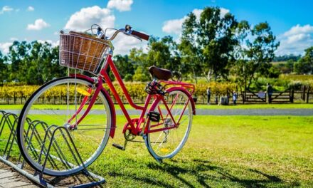 Hvilket cykelstativ passer til din bolig?